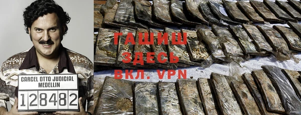 дмт Гусев