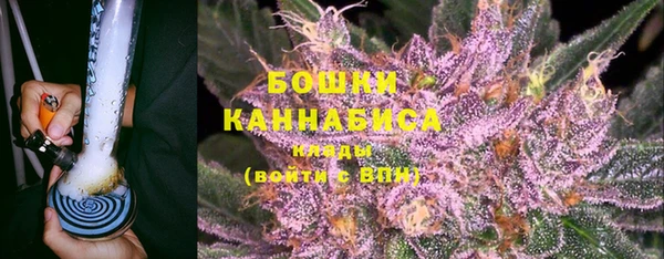 дмт Гусев