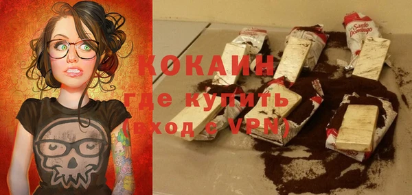 дмт Гусев