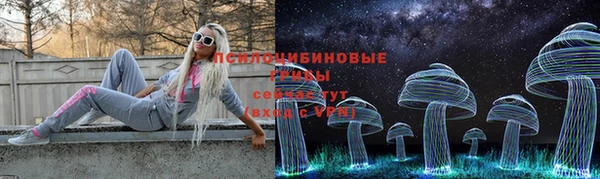 спайс Гусиноозёрск