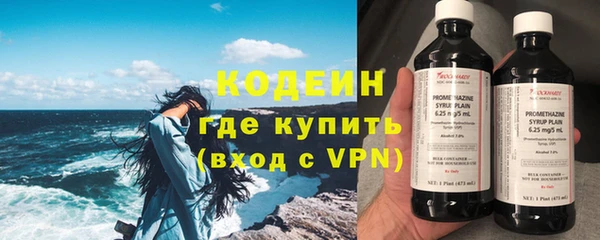 дмт Гусев